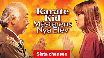 Karate Kid - mästarens nya elev (1994)