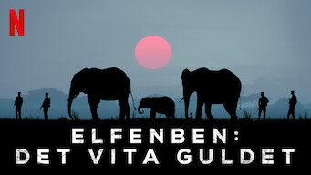 Elfenben: det vita guldet (2016)