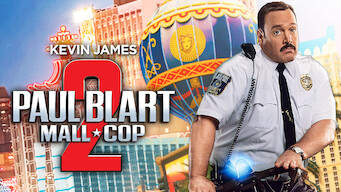 Paul Blart: Mall Cop 2 (2015)