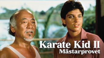 Karate Kid II - mästarprovet (1986)