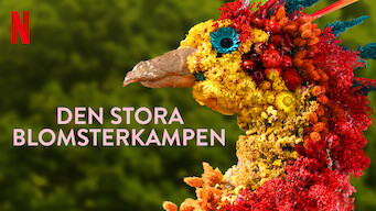 Den stora blomsterkampen (2020)