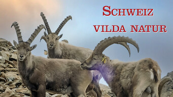 Schweiz vilda natur (2017)