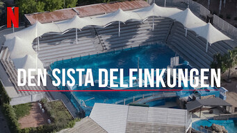 Den sista delfinkungen (2022)