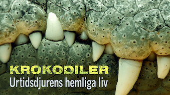 Krokodiler: Urtidsdjurens hemliga liv (2011)