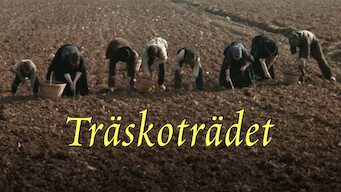 Träskoträdet (1978)