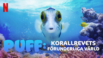 Puff: Korallrevets förunderliga värld (2021)